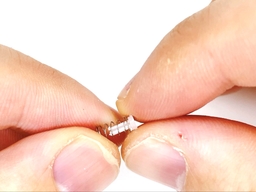 ガイドパイプ内部のバネを外すの画像1