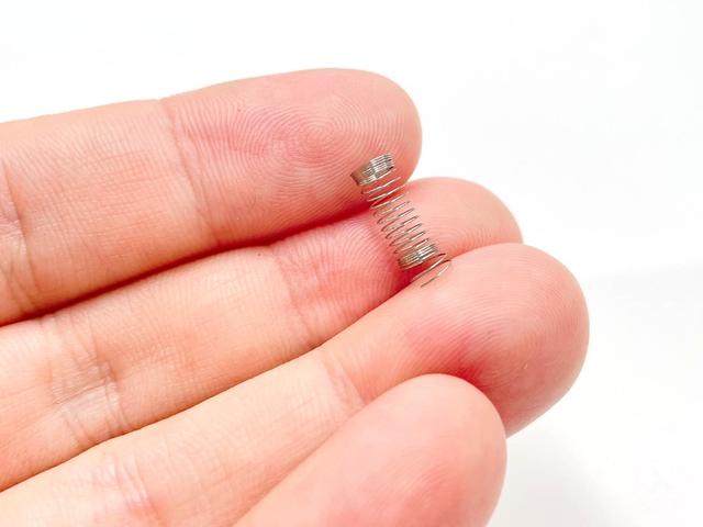 バネ(小)の写真