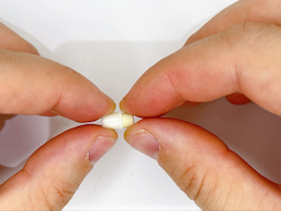 消しゴムの装着部を外すの画像1